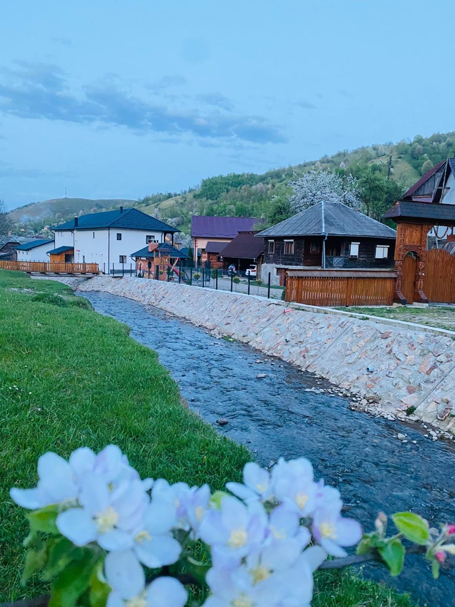 Pensiunea Suci Botiza Buitenkant foto