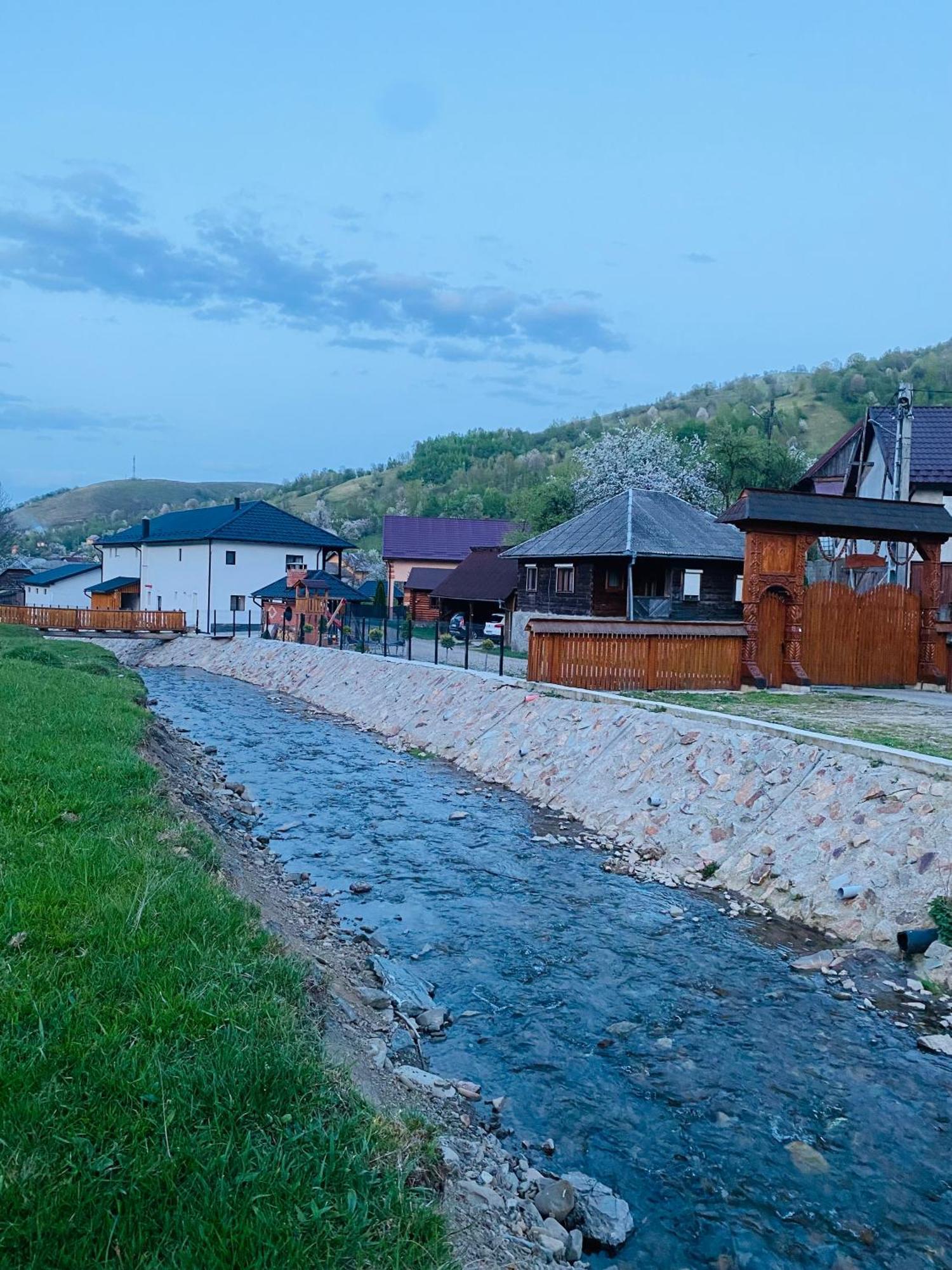 Pensiunea Suci Botiza Buitenkant foto