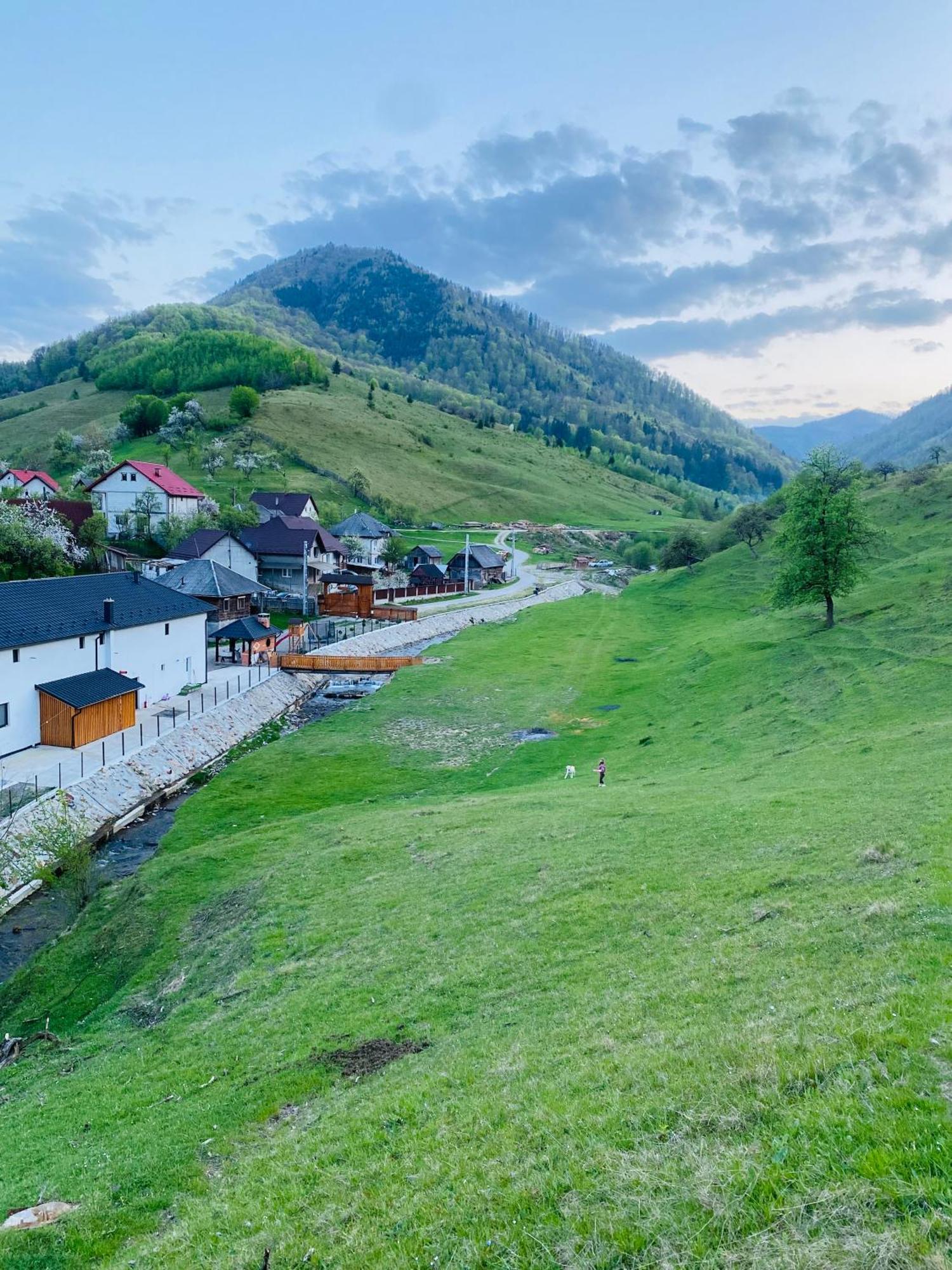 Pensiunea Suci Botiza Buitenkant foto