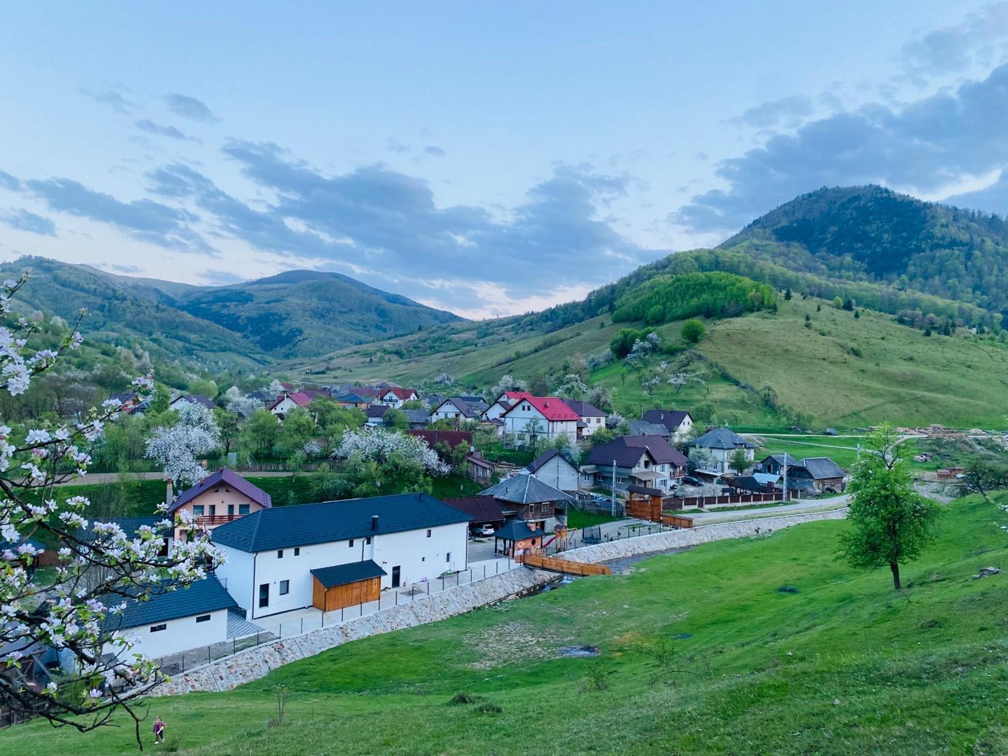 Pensiunea Suci Botiza Buitenkant foto