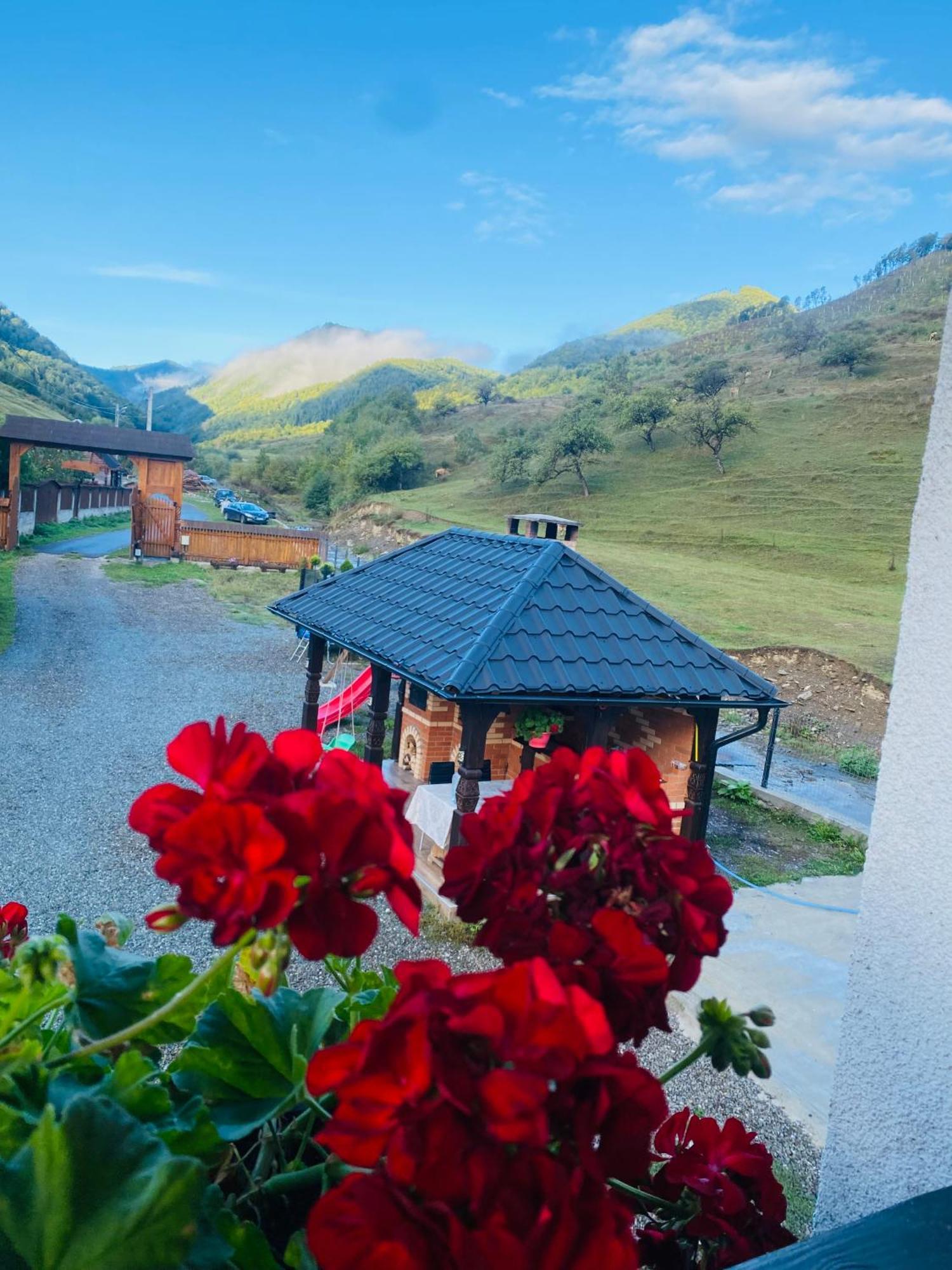 Pensiunea Suci Botiza Buitenkant foto
