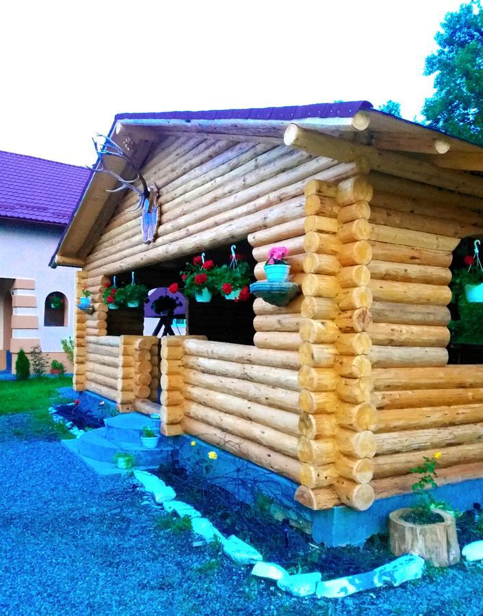 Pensiunea Suci Botiza Buitenkant foto